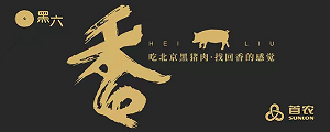 黑六牧业